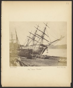The "Jane Tudor"