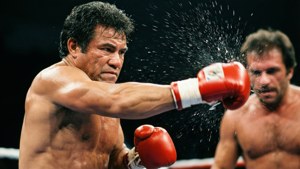 The Knockout Punch