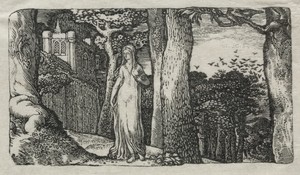 The Lady and the Rooks