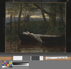 The Lady of Shalott