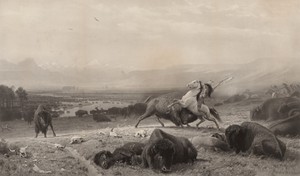 The Last of the Buffalo