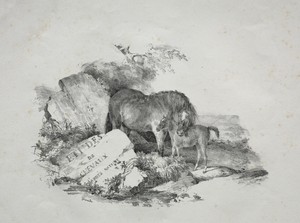 The Mare and Her Foal