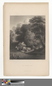 The Market Cart