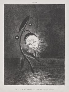 The Marsh Flower, a Sad Human Head