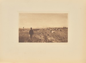 [The Marshes in June]