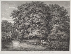 The Mill at the Great Oaks
