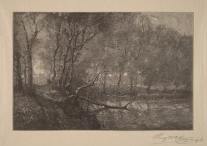 The Mill Pond