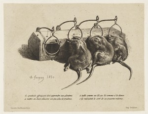 The mousetrap