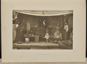 The Native Grocer