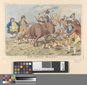The Norwich Bull-Bait