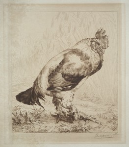 The Old Cock