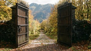 The Open Gate