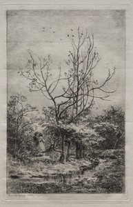 The Orchard