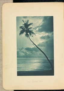 The Orient Sea