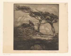 The ostrich
