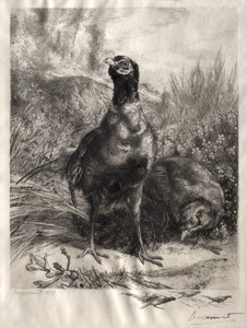 The Pheasants