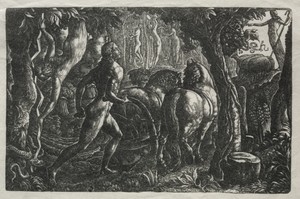 The Ploughman