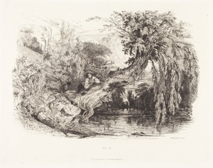 The Poacher