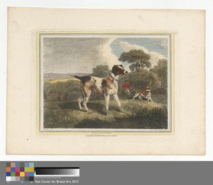 The Pointer
