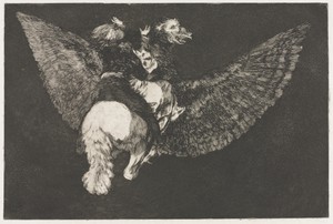 The Proverbs:  Flying Folly