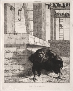 The Raven