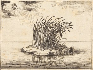 The Reeds and the Wind