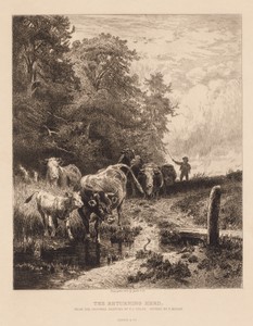 The Returning Herd
