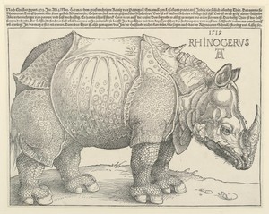 The Rhinoceros