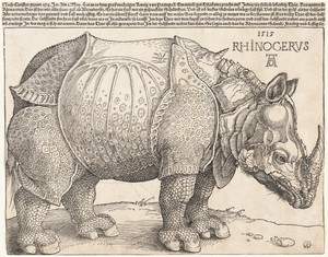 The Rhinoceros