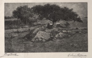 The Roadside