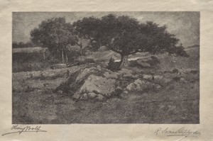 The Roadside