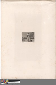 The Sailor