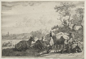 The Shepherd