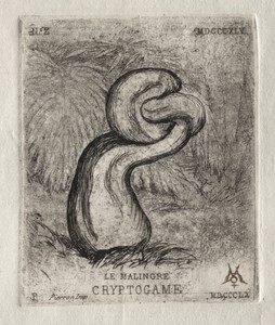 The Sickly Cryptogam