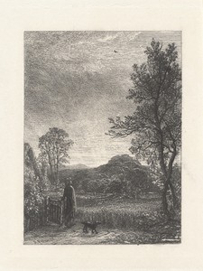 The Skylark