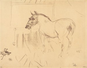 The Small Pony from Calmese (Le petit poney de Calmèse)