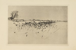 The Snow Garden