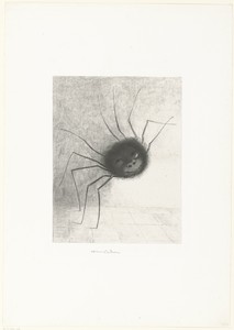 The Spider