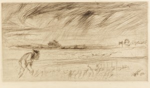 The Storm