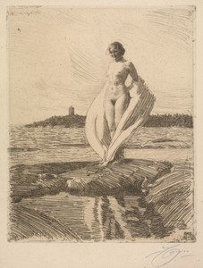 The Swan