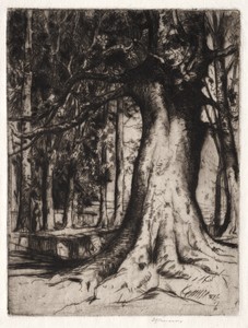 The Sycamore