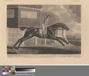 The Terrible Horse Trentham