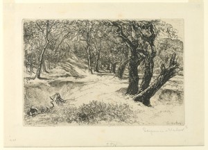The Three Sisters