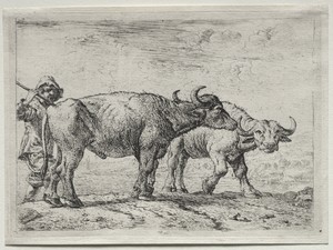 The Two Buffaloes
