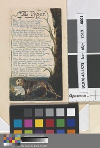 The Tyger (Plate 42)