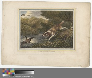 The Water Spaniel