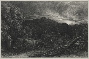 The Weary Plowman