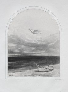 The White Dove