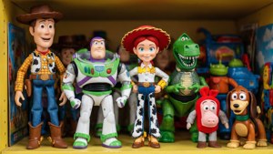 The Whole Toy Box