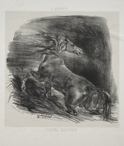 The Wild Horse, or Frightened Horse Leaving the Water
